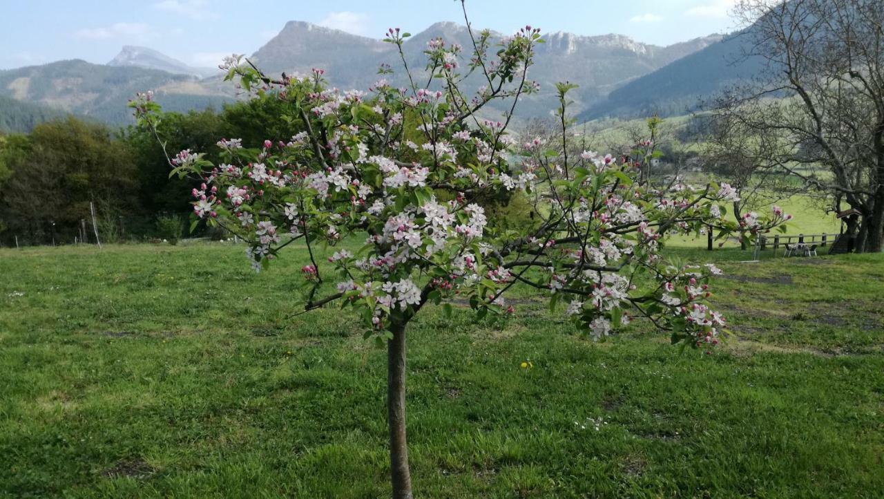 Casa Rural Urkulu Landetxea Arechavaleta Bagian luar foto